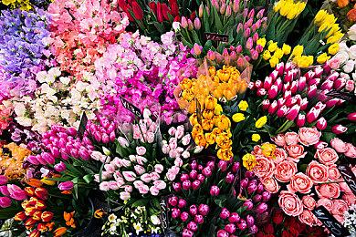 《使命召唤》x《进击的巨人》联动新预告 活动已上线