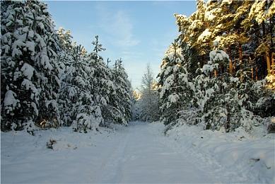 脑洞大开的联动！日本开卖吃豆人肉夹馍